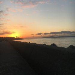 タチウオ ワインド