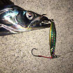 ハードルアー太刀魚楽しい〜