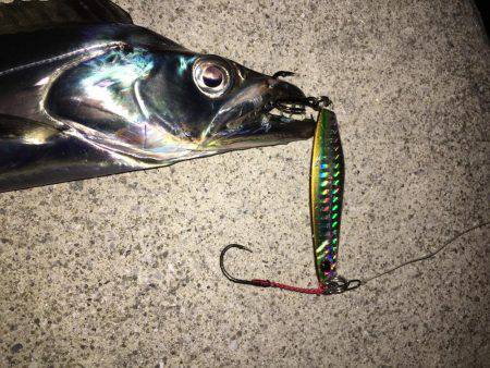 ハードルアー太刀魚楽しい〜
