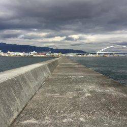 メタルジグにアジ