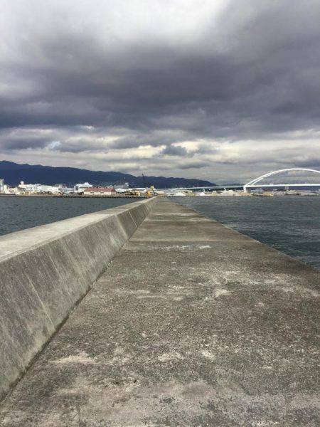 メタルジグにアジ