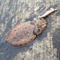 雨と雨の隙間で!!