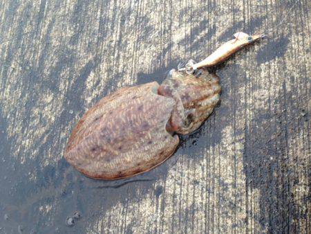 雨と雨の隙間で!!