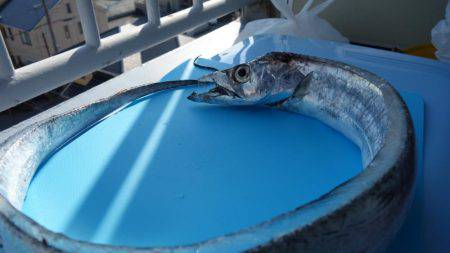 西宮ケーソン タチウオ