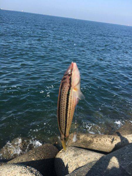 テトラの穴には？！