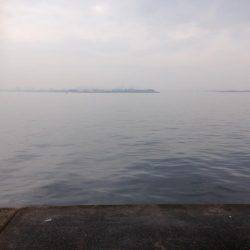 タチウオまずまず