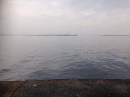 タチウオまずまず