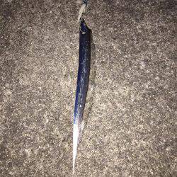 そろそろ終盤かな？？