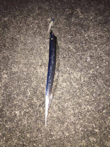 そろそろ終盤かな？？