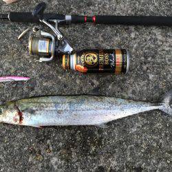 釣り人生一番の大物