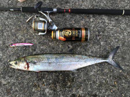 釣り人生一番の大物