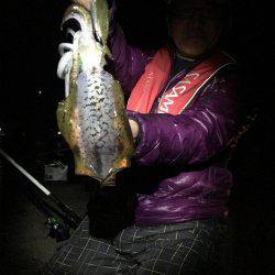 アオリウキ釣り