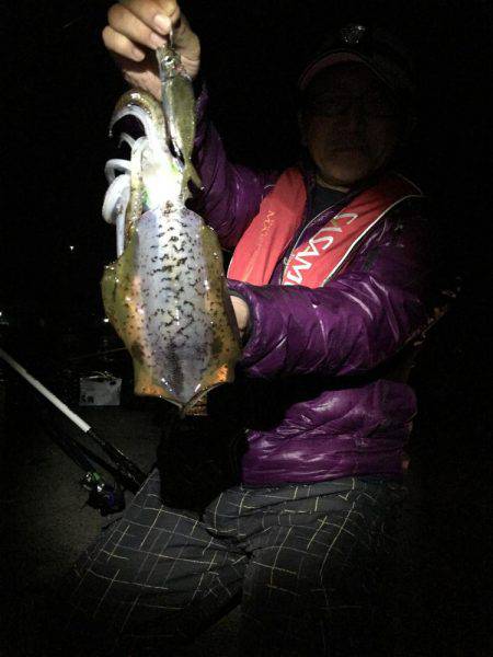 アオリウキ釣り