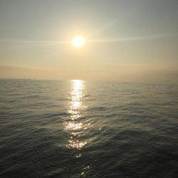 おはよタッチー