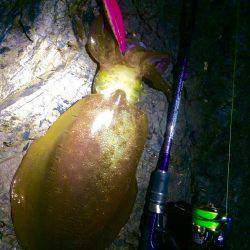 何とかホゲ逃れ…