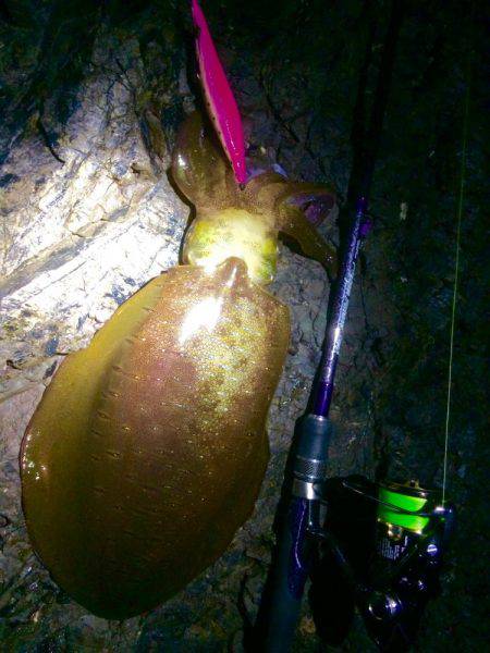 何とかホゲ逃れ…