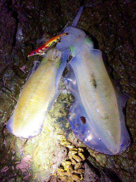 何とかギリギリキロアップ