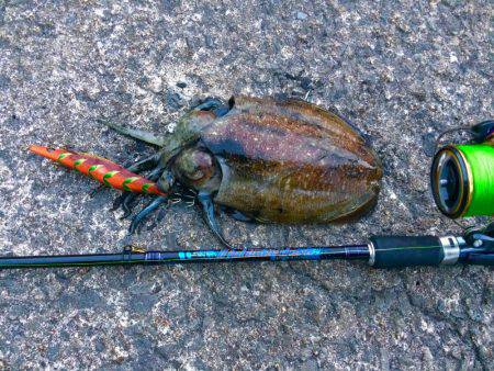 久々のポイントで…