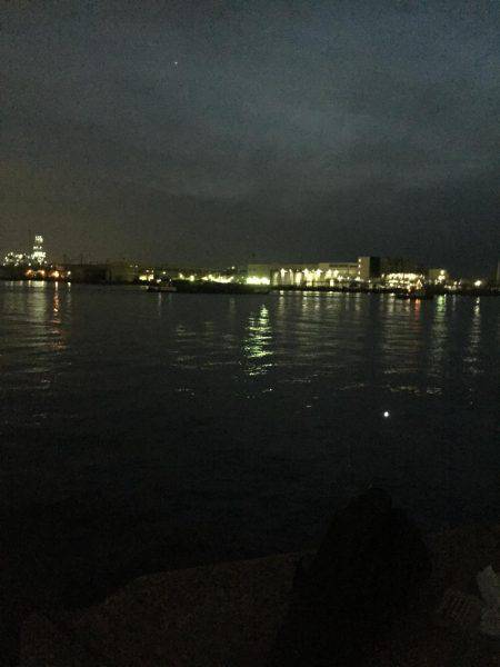 太刀魚時合い無し激渋