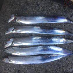 いきなりの強風‥