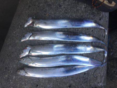 いきなりの強風‥