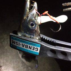 オンスのワンデイトーナメント