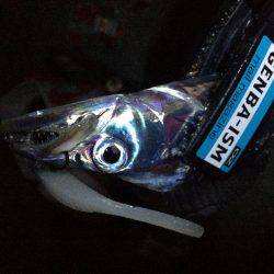 ワインド楽しすぎ!