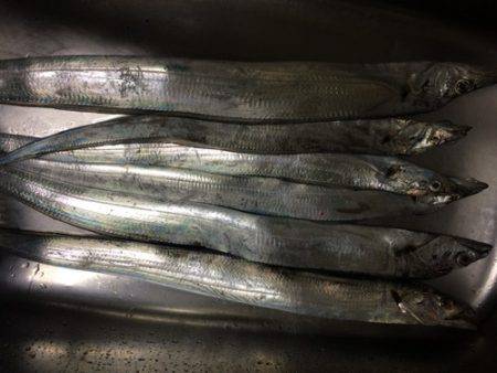 ワインドは奥が深い