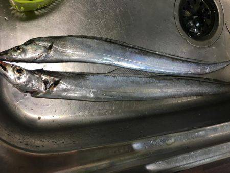 今年はデカイかも