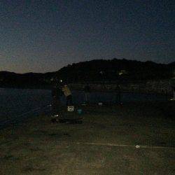 バクチョウかな？