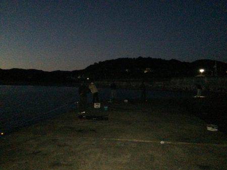 バクチョウかな？