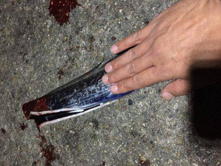 タチウオ  タコ