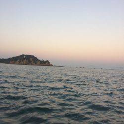 ヤエン時々アオイソメ