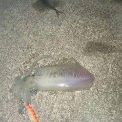 スーパームーン