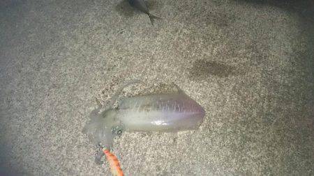 スーパームーン