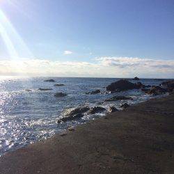 もうかなり寒いです