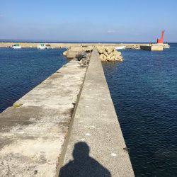 チンタ祭りからサイズアップ