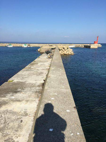 チンタ祭りからサイズアップ