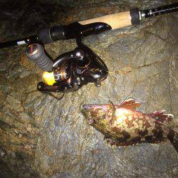 ガシリングからのエギング