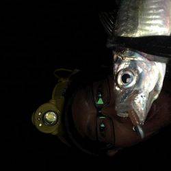 オールナイトアジング