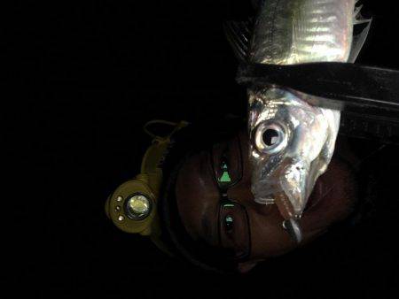 オールナイトアジング