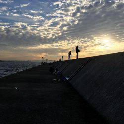 太刀魚のちサゴシ