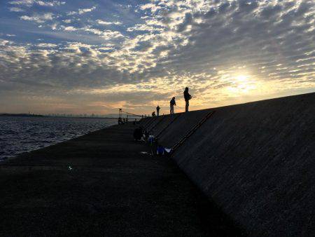 太刀魚のちサゴシ