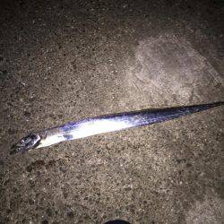 初西宮ケーソン