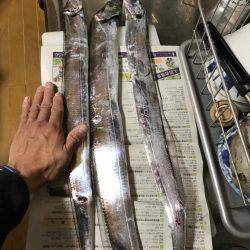 太刀魚さんまだいたの？