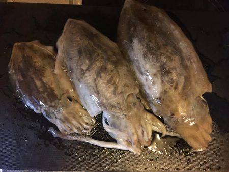 久々のアジング