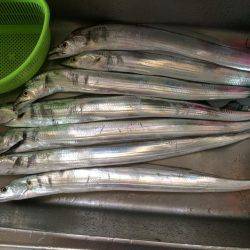 雨の中、マイポイントで朝練