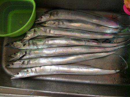 雨の中、マイポイントで朝練