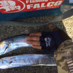 マイポイントで朝練