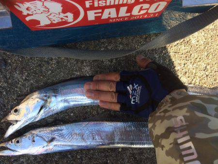 マイポイントで朝練